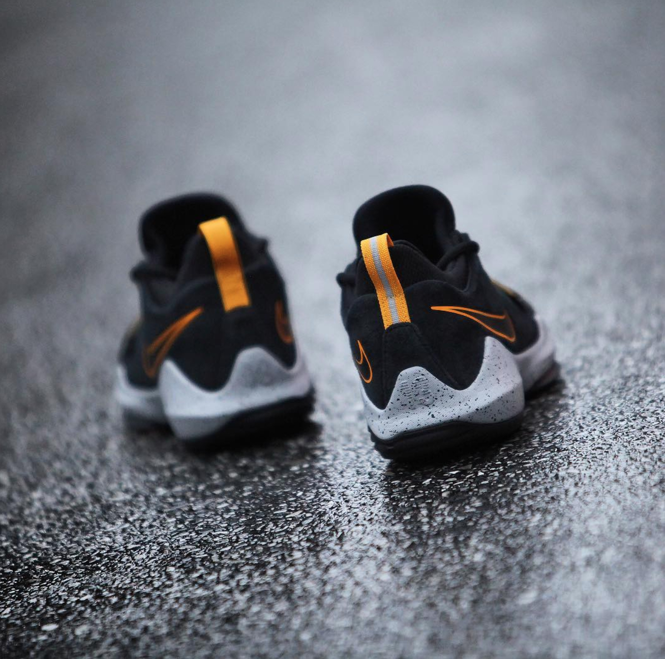 pg 1 black and gold