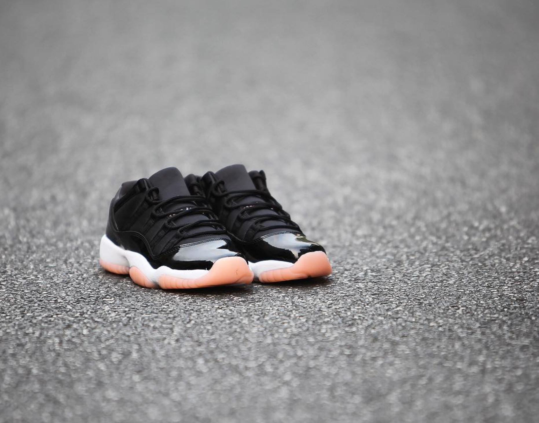 bleached coral 11