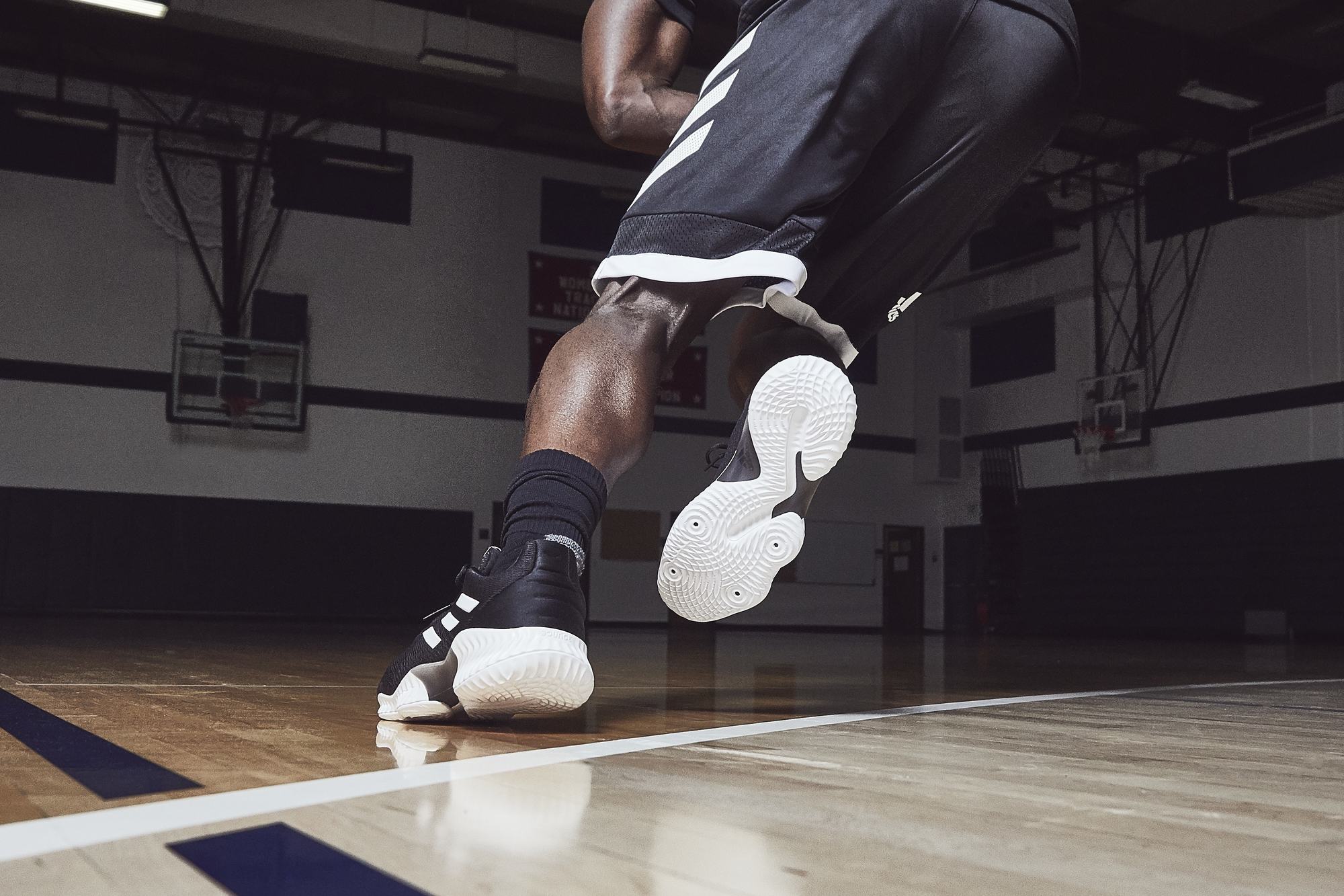 adidas pro bounce on feet