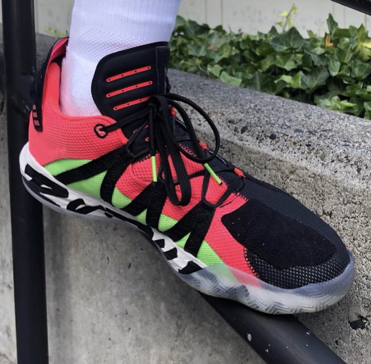 dame 6 on foot