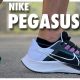 Nike Pegasus 38
